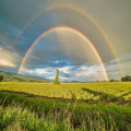 Waarom is een regenboog rond en niet recht?