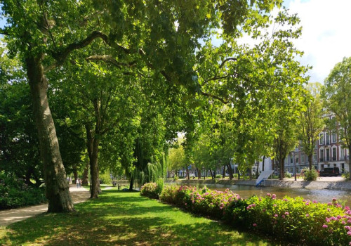 Een tuin die klopt begint met slimme keuzes