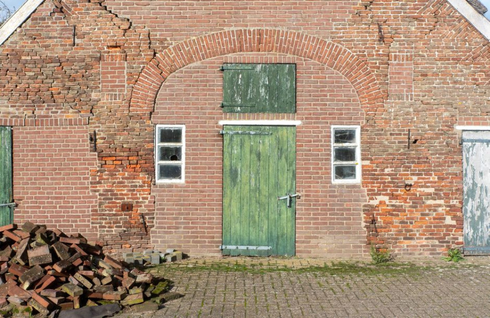 Groene aanslag op dak en gevel: waar komt het vandaan en wat doe je eraan?