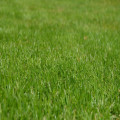 Kunstgras voor in de tuin, de vele voordelen