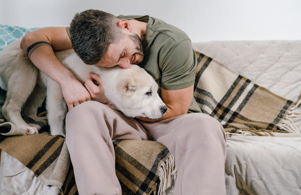 Samen genieten bij Landal? Op vakantie met je hond in Nederland!