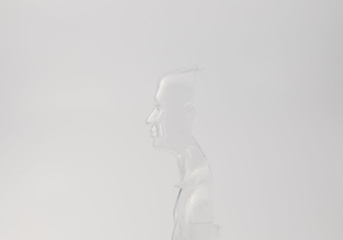 Wat is het verschil tussen intuïtie en instinct?