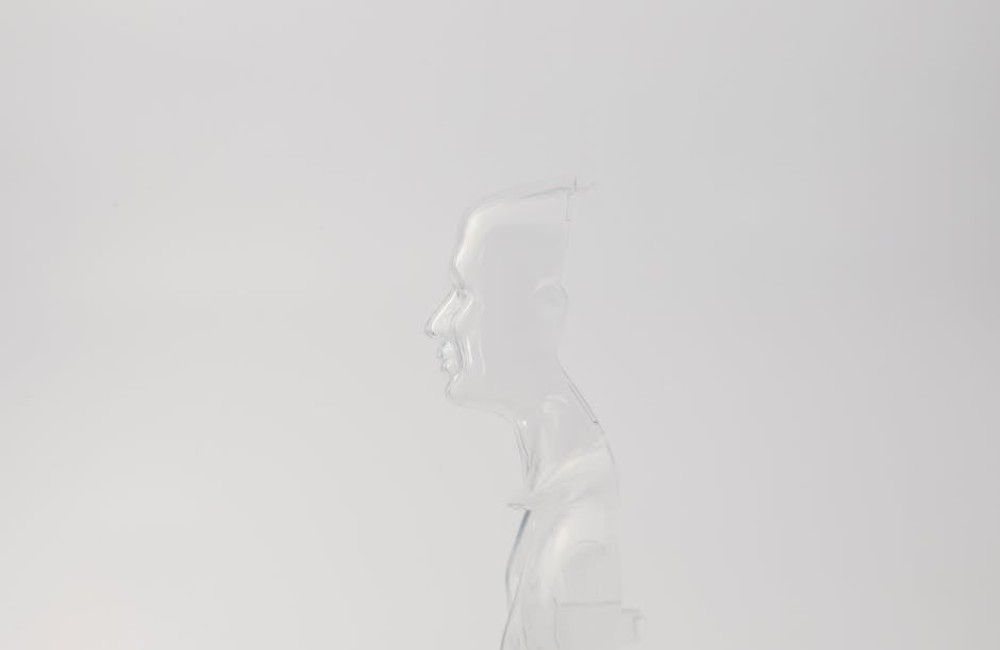 Wat is het verschil tussen intuïtie en instinct?